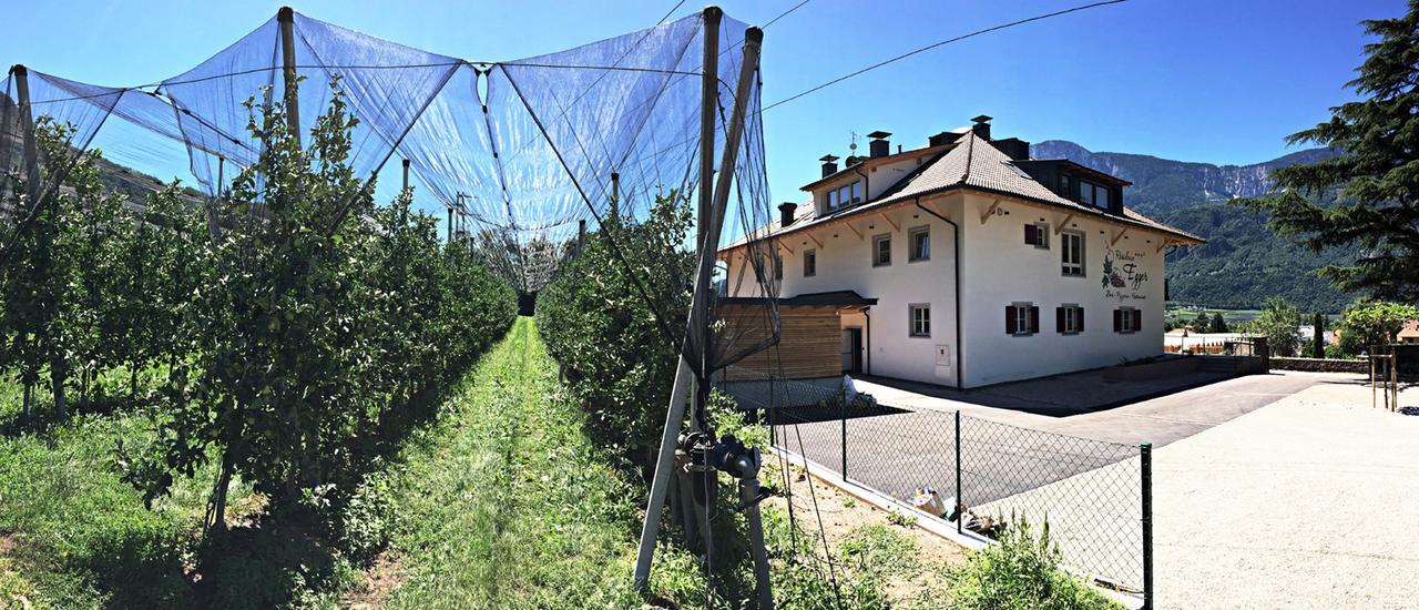 Residence Egger Терлано Екстериор снимка